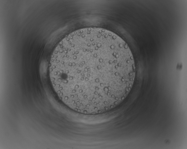 X0000115720026200912241614