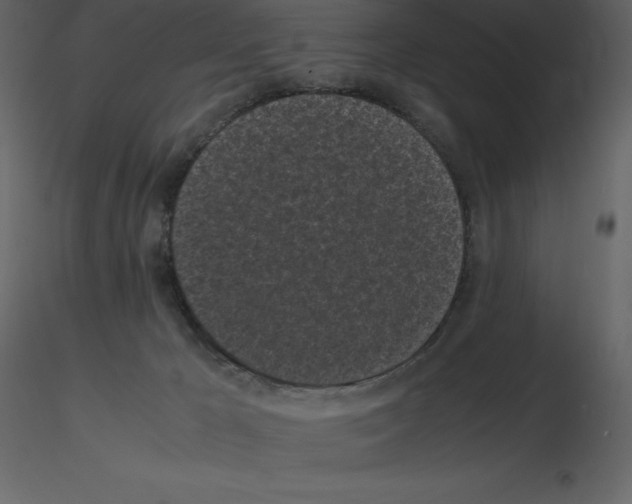 X0000115720029200912241614