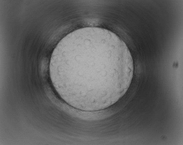 X0000115720030200912241614