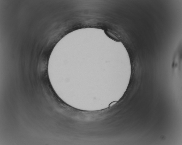 X0000115720033200912241614