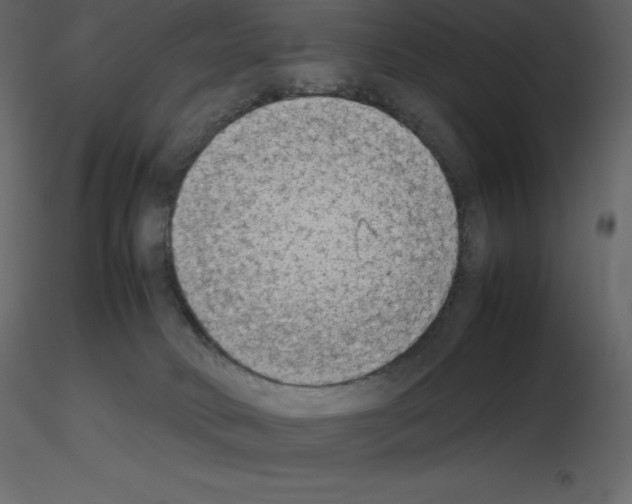 X0000115720034200912241614