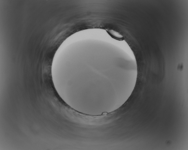 X0000115720035200912241614