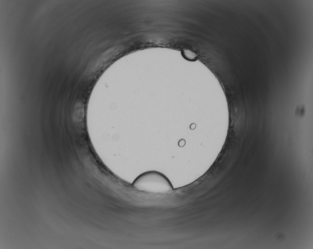 X0000115720036200912241614