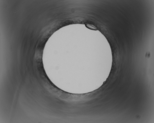 X0000115720037200912241614