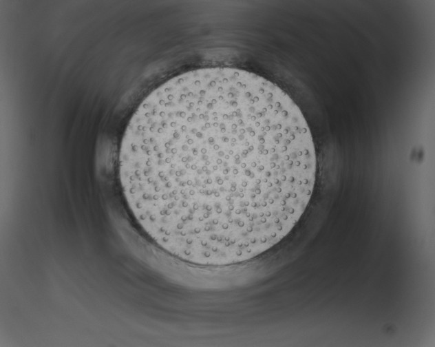 X0000115720038200912241614