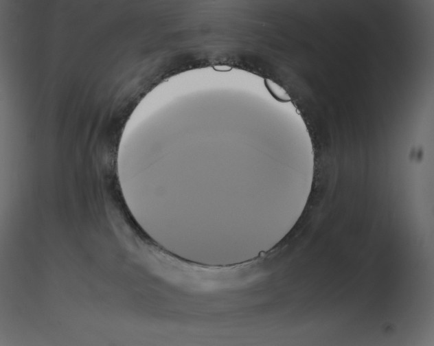 X0000115720039200912241614
