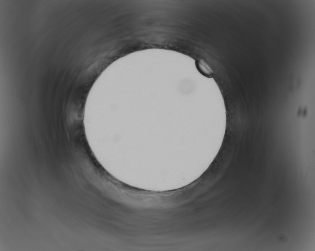 X0000115720040200912241614