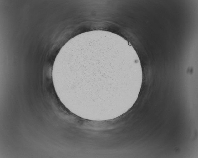 X0000115720041200912241614