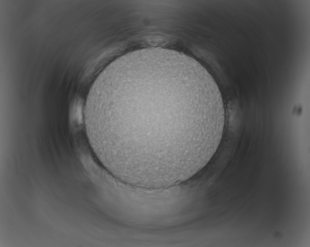X0000115720042200912241614