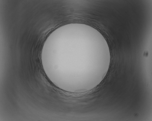 X0000115720043200912241614