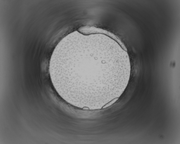 X0000115720044200912241614