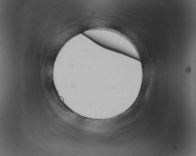 X0000115720045200912241614