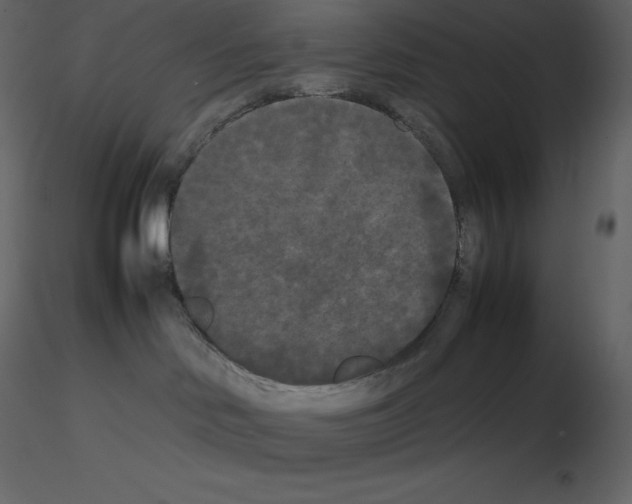X0000115720046200912241614