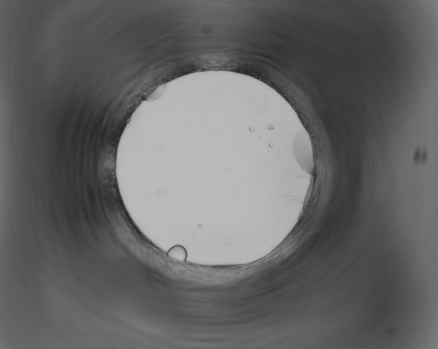 X0000115720048200912241614