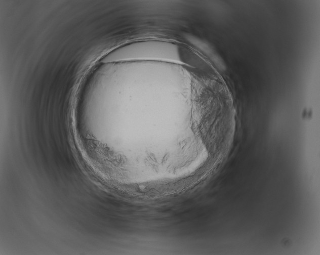 X0000115720049200912241613