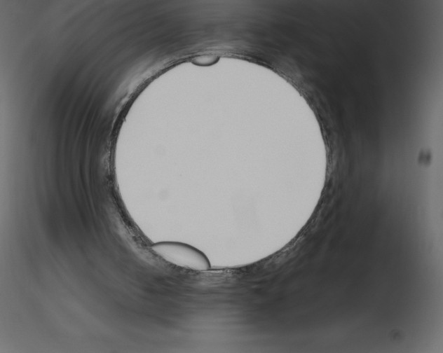 X0000115720050200912241613