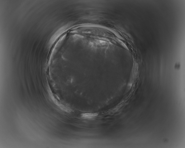X0000115720051200912241613