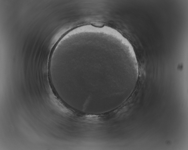 X0000115720052200912241613