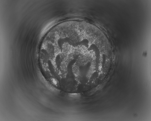 X0000115720053200912241613