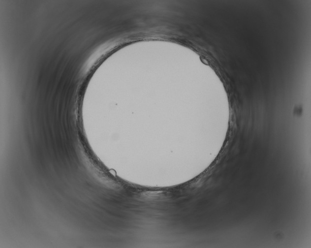 X0000115720054200912241613