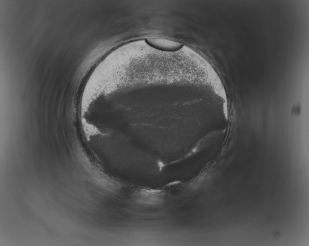 X0000115720055200912241613