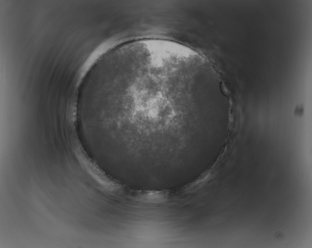 X0000115720056200912241613