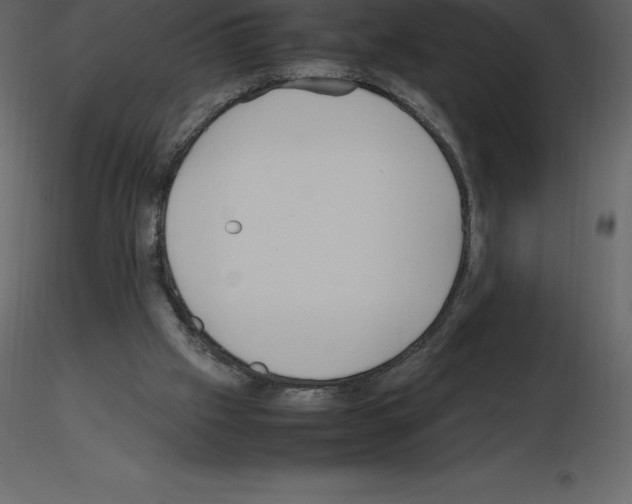 X0000115720057200912241613
