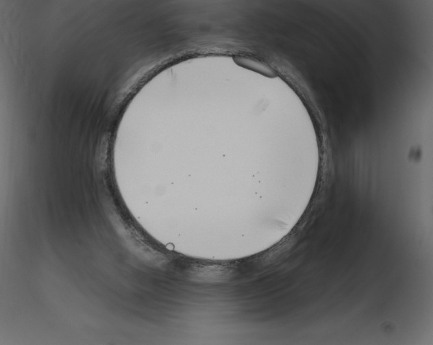 X0000115720058200912241613