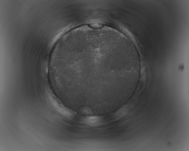 X0000115720059200912241613