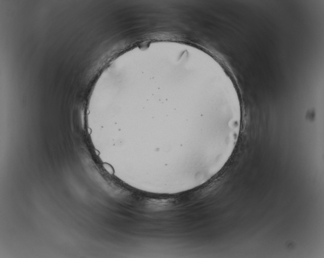 X0000115720061200912241613