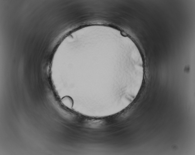 X0000115720063200912241613