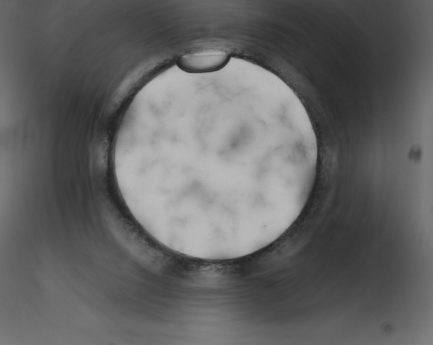 X0000115720064200912241613