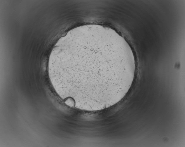 X0000115720065200912241613