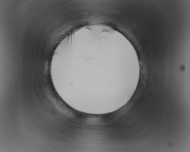 X0000115720066200912241613