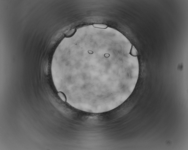 X0000115720068200912241613