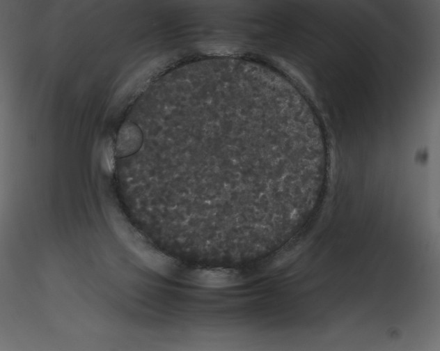 X0000115720069200912241613