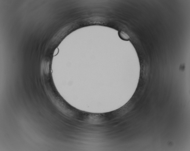 X0000115720070200912241613