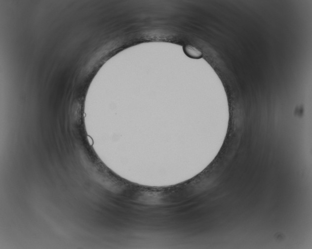 X0000115720071200912241613