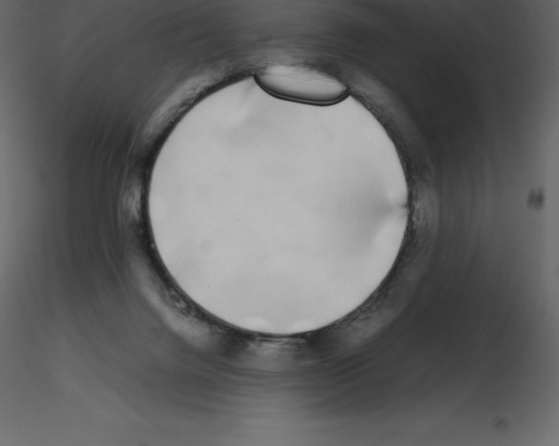 X0000115720072200912241613