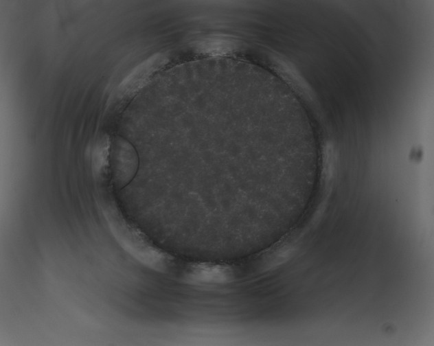X0000115720073200912241613