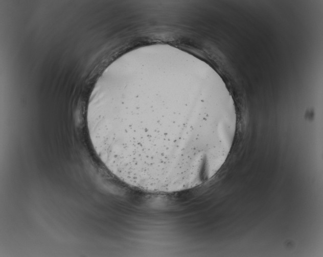 X0000115720074200912241613