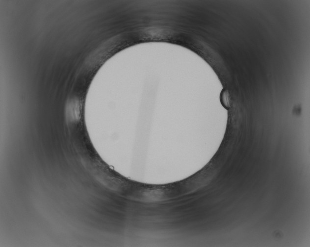 X0000115720075200912241613