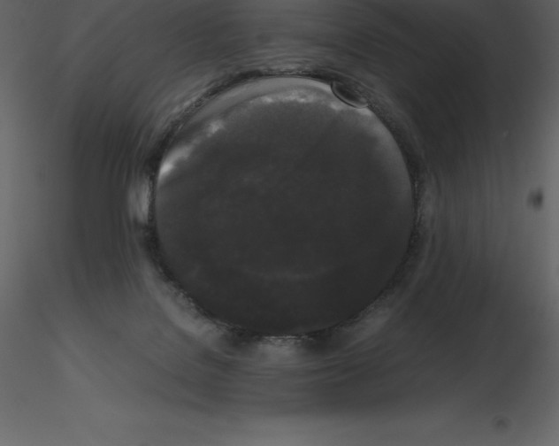 X0000115720076200912241613