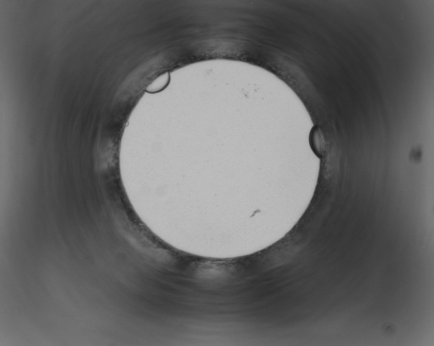 X0000115720077200912241613