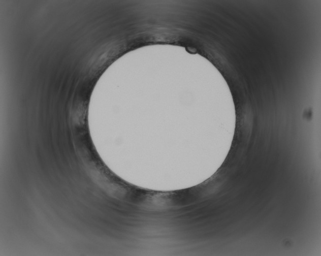 X0000115720078200912241614