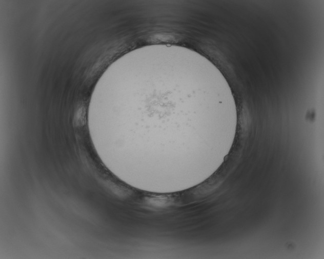X0000115720079200912241614