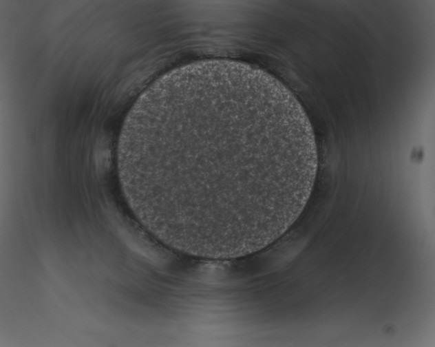 X0000115720080200912241614