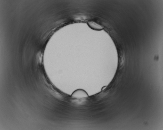 X0000115720081200912241614