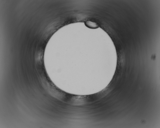 X0000115720082200912241614
