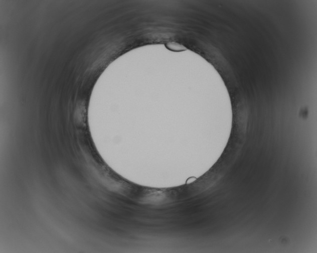 X0000115720083200912241614